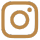 Instagram Icon